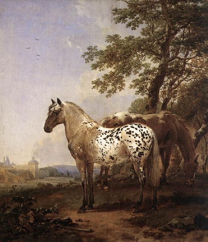 BERCHEM, Nicolaes Landscape with Two Horses oil painting image